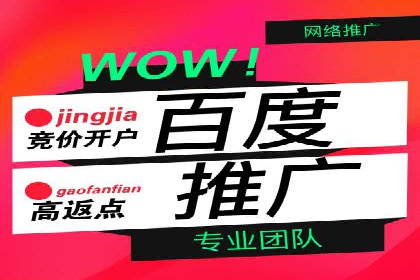 热门充值高返点平台案例分析
